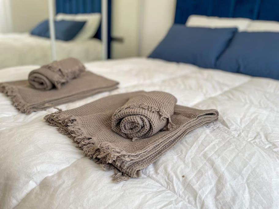 Le Lagon Bleu - Appt Wifi Parking Balcon Le Puy-en-Velay エクステリア 写真
