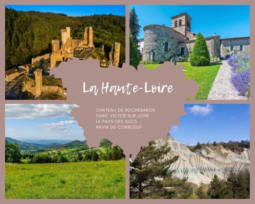 Le Lagon Bleu - Appt Wifi Parking Balcon Le Puy-en-Velay エクステリア 写真