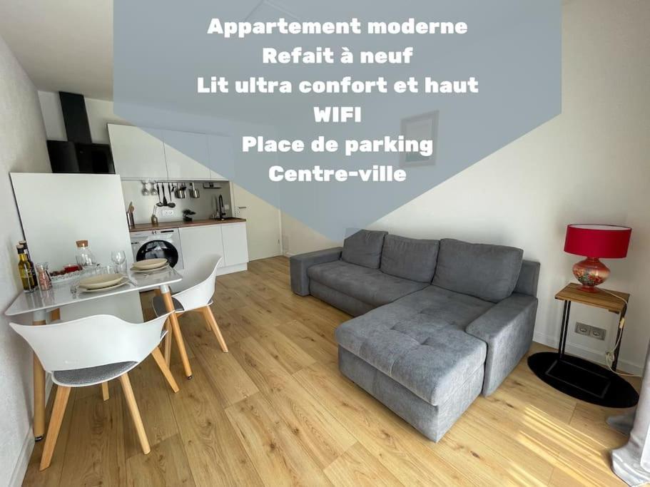Le Lagon Bleu - Appt Wifi Parking Balcon Le Puy-en-Velay エクステリア 写真